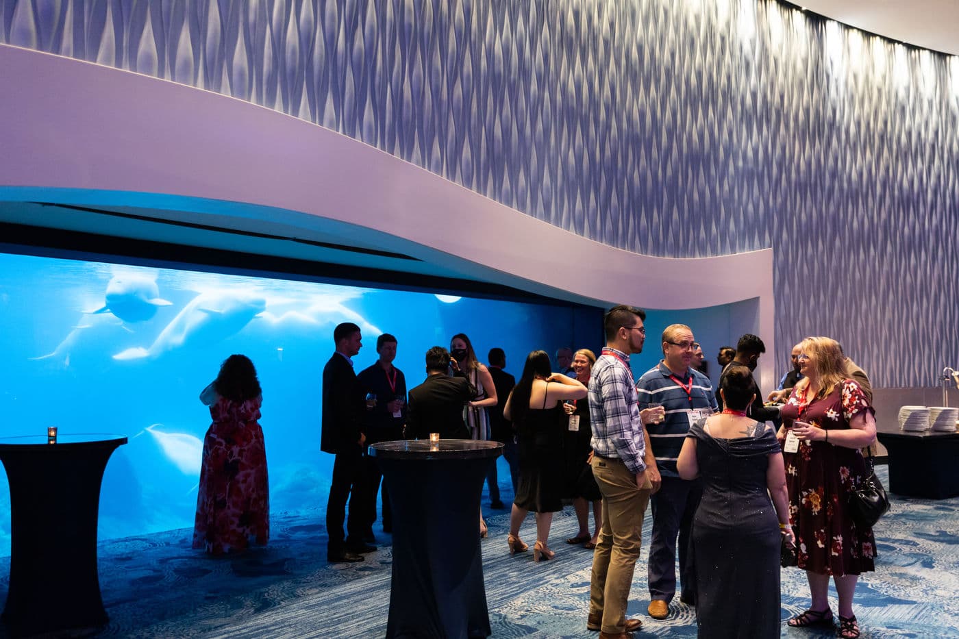 Guests networking at an evening aquarium reception