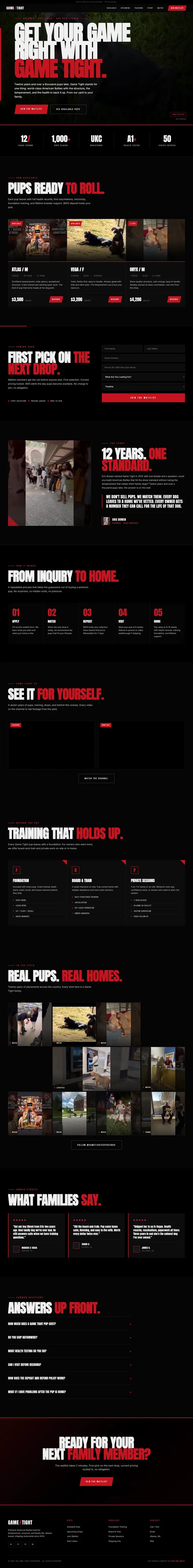 Game Tight Bullies website built by High Arc Media